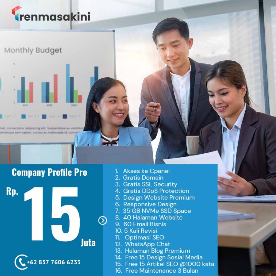 Paket Website Company Profile Pro