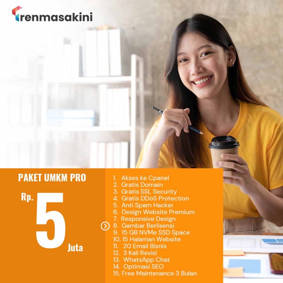 Paket Website UMKM Pro