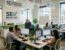jasa backlink SEO